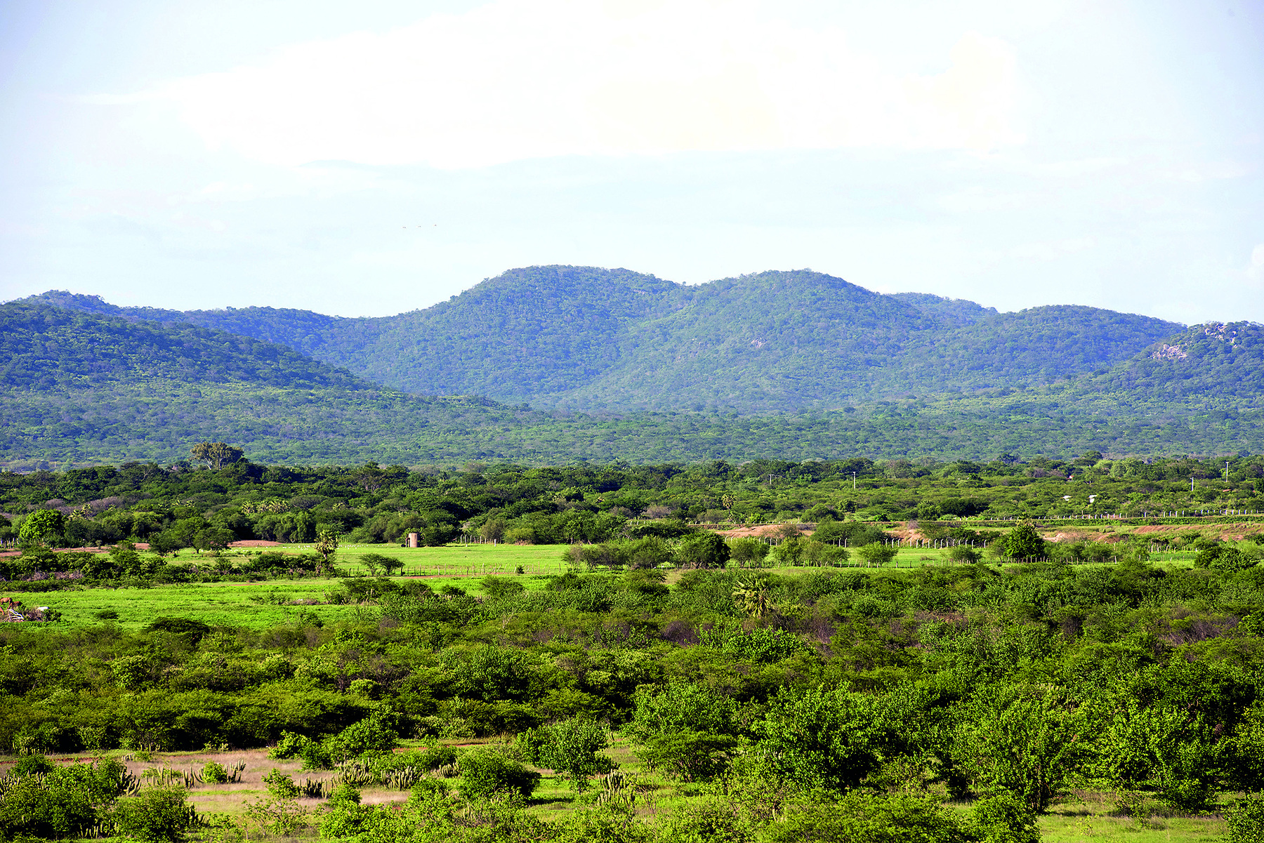 Fotografia. No primeiro plano, vista para uma superfície aplainada, coberta por vegetação arbustiva e arbórea de pequeno porte e verde, além de fragmentos de solo exposto e vegetação rasteira verde. No segundo plano, superfície aplainada, coberta por vegetação densa verde e fragmentos de solo exposto. No terceiro plano, morros com vegetação densa e verde. Acima, o céu com nuvens.