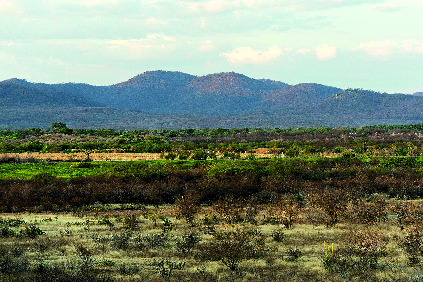 Fotografia. No primeiro plano, vista para uma superfície aplainada, coberta por vegetação arbustiva e arbórea de pequeno porte e seca, além de fragmentos de solo exposto e vegetação rasteira seca. No segundo plano, superfície aplainada, coberta por vegetação verde e fragmentos de solo exposto. No terceiro plano, morros com vegetação densa e seca. Acima, o céu com nuvens.