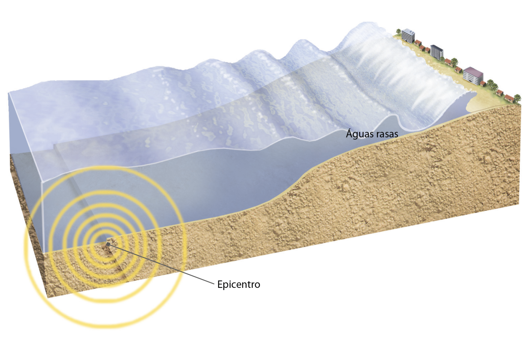 Ilustração. Formação de tsunami. Bloco-diagrama com corte no relevo mostrando o epicentro, na parte subterrânea, que origina um tsunami e, na superfície, ondas que avançam até o litoral, onde estão localizadas construções à beira do mar. Perto da área litorânea está escrito Águas rasas, evidenciando que a profundidade do oceano nessa parte é menor em relação à área do epicentro.