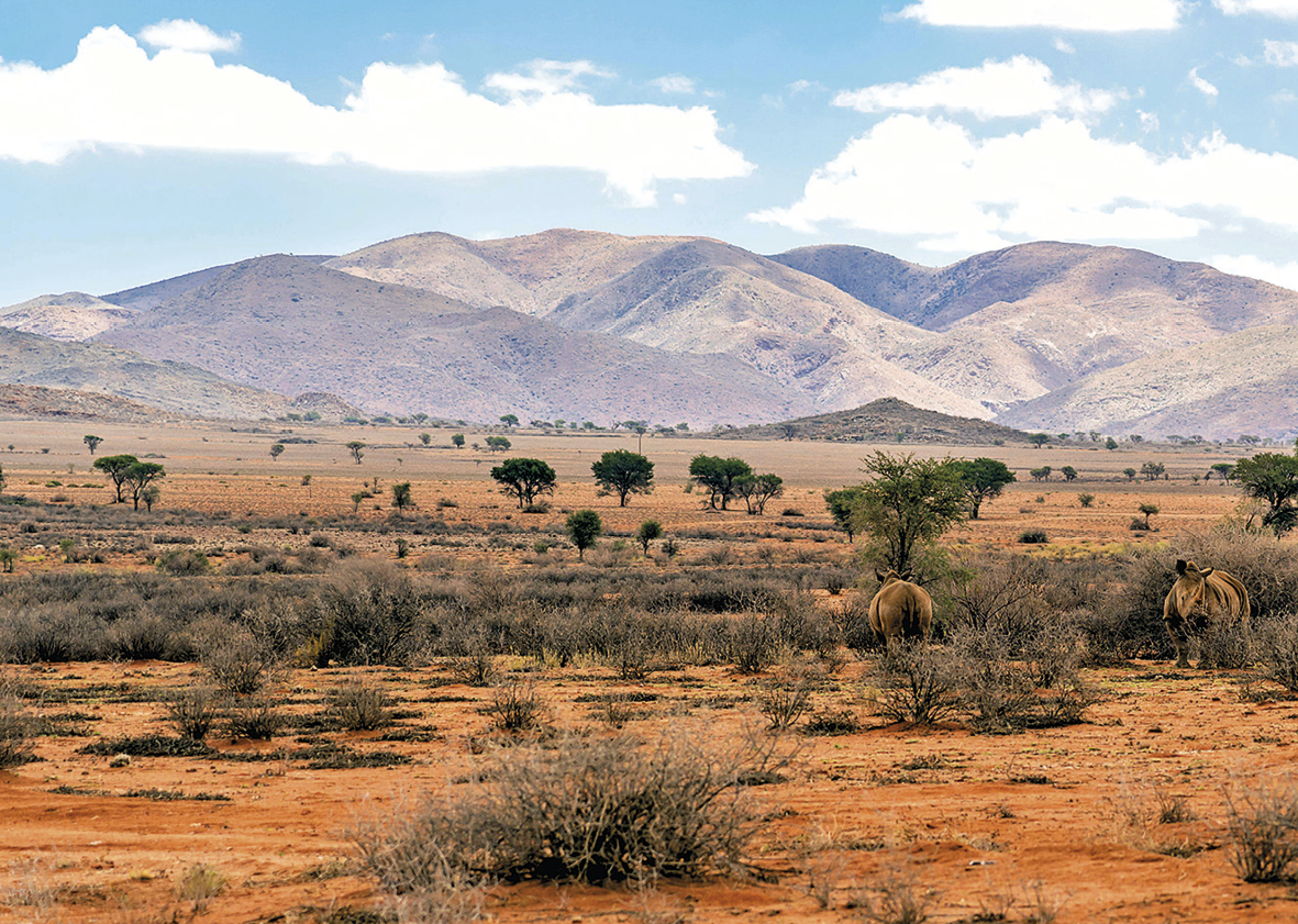 Fotografia. Primeiro plano, vista para uma ampla área plana coberta por vegetação rasteira esparsa, árvores dispersas de pequeno porte e cobertas de folhas verdes e solo exposto de cor alaranjada. Ao fundo, diversas montanhas cobertas por vegetação rasteira. O céu está azul e com nuvens brancas.