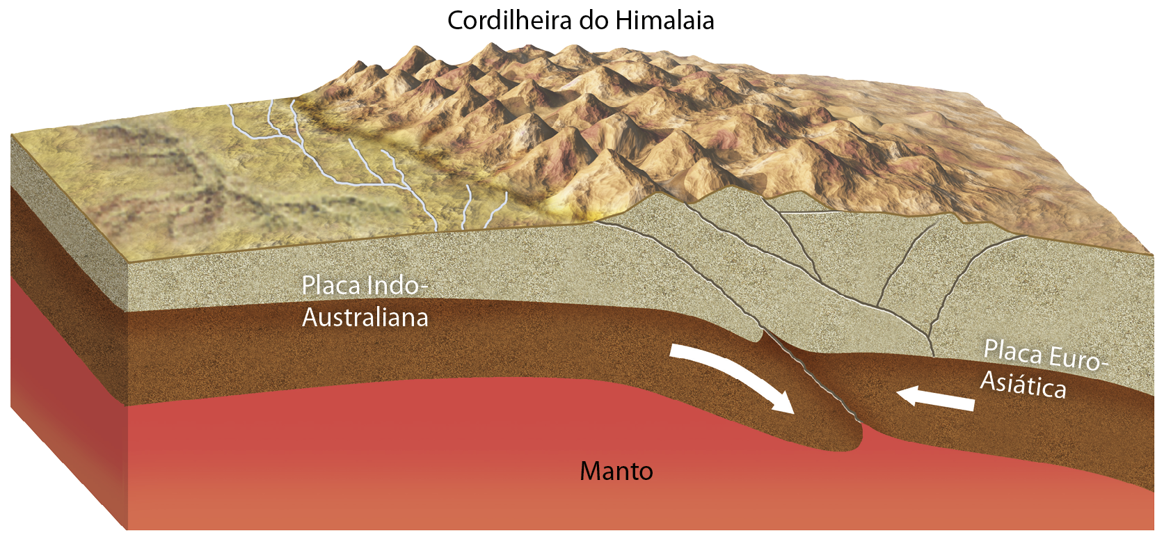 Ilustração. Representação da formação da Cordilheira do Himalaia. Bloco-diagrama que contém em sua parte superior uma cadeia de montanhas indicando a Cordilheira do Himalaia. Abaixo, à esquerda, a placa indo-australiana é evidenciada por uma camada marrom com uma seta para baixo no sentido esquerda para direita, indicando seu movimento descendente. À direita, a placa euro-asiática composta por uma camada marrom com uma seta na direção da placa indo-australiana. Na parte inferior, uma camada vermelha com nome manto.