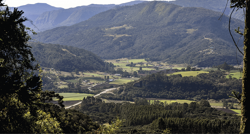 Fotografia. Em primeiro plano, paisagem predominantemente dominada por áreas verdes, com vegetação formada por árvores de diferentes tamanhos. Em segundo plano, há serras cobertas por vegetação em tons verde escuro.