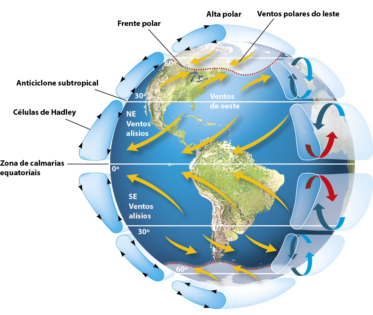 Ilustração. Circulação geral da atmosfera. Globo terrestre cuja face mostra o continente americano, com destaque para as setas amarelas que representam a direção dos ventos nas diferentes latitudes e para as camadas translúcidas que ilustram a formação das células atmosféricas. Cinco paralelos traçados no globo representam as principais latitudes: 0 grau no centro do globo, 30 graus norte, 60 graus norte, 30 graus sul e 60 graus sul. No extremo norte do globo, uma camada translúcida cobre o norte do Canadá e a Groelândia representando a abrangência da frente polar. Outra camada translúcida acima do polo Norte representa a formação da célula alta polar, cujo sentido é horário. Sobre o traçado da latitude 60 graus norte, presença de setas amarelas que partem do polo norte em direção ao norte da América do Norte, sentido nordeste-sudoeste, representando os ventos polares do leste. Entre os traçados das latitudes 30 graus norte e 60 graus norte, presença de setas amarelas que partem da latitude 30 graus norte em direção à latitude 60 graus norte, sentido sudoeste- nordeste, representando os ventos de oeste. Na porção esquerda da ilustração, camada translúcida representa a formação da célula atmosférica, cujo sentido é anti-horário. Na porção direita, camada translúcida representa o movimento vertical dos ventos com duas setas azuis, indicando que os fluxos de ar ascendente e descendente são frios nessa porção do planeta. A ocorrência do Anticiclone subtropical é indicada no traçado que representa a latitude 30 graus norte. Entre os traçados das latitudes 0 grau e 30 graus norte, presença de setas amarelas que partem da latitude 30 graus norte em direção à latitude 0 grau, sentido nordeste-sudoeste, representando os ventos alísios nordeste. Na porção esquerda da ilustração, camada translúcida representa a formação da Célula de Hadley, cujo sentido é horário. Na porção direita, camada translúcida representa o movimento vertical dos ventos com uma seta vermelha, indicando que o fluxo de ar ascendente é quente, e uma seta azul, indicando que o fluxo de ar descendente é frio nessa porção do planeta. A ocorrência da Zona de calmarias equatoriais é indicada no traçado que representa a latitude 0 grau. Entre os traçados das latitudes 0 grau e 30 graus sul, presença de setas amarelas que partem da latitude 30 graus sul em direção à latitude 0 grau, sentido sudeste-noroeste, representando os ventos alísios sudeste. Na porção esquerda da ilustração, camada translúcida representa a formação atmosférica, cujo sentido é anti-horário. Na porção direita, camada translúcida representa o movimento vertical dos ventos com uma seta vermelha, indicando que o fluxo de ar ascendente é quente, e uma seta azul, indicando que o fluxo de ar descendente é frio nessa porção do planeta. Entre os traçados das latitudes 30 graus sul e 60 graus sul, presença de setas amarelas que partem da latitude 30 graus sul em direção à latitude 60 graus sul, sentido noroeste-sudeste. Na porção esquerda da ilustração, camada translúcida representa a formação atmosférica, cujo sentido é horário. Na porção direita, camada translúcida representa o movimento vertical dos ventos com duas setas azuis, indicando que os fluxos de ar ascendente e descendente são frios nessa porção do planeta. No extremo sul do globo, uma camada translúcida cobre o polo sul representando a formação de uma célula atmosférica, cujo sentido é anti-horário.