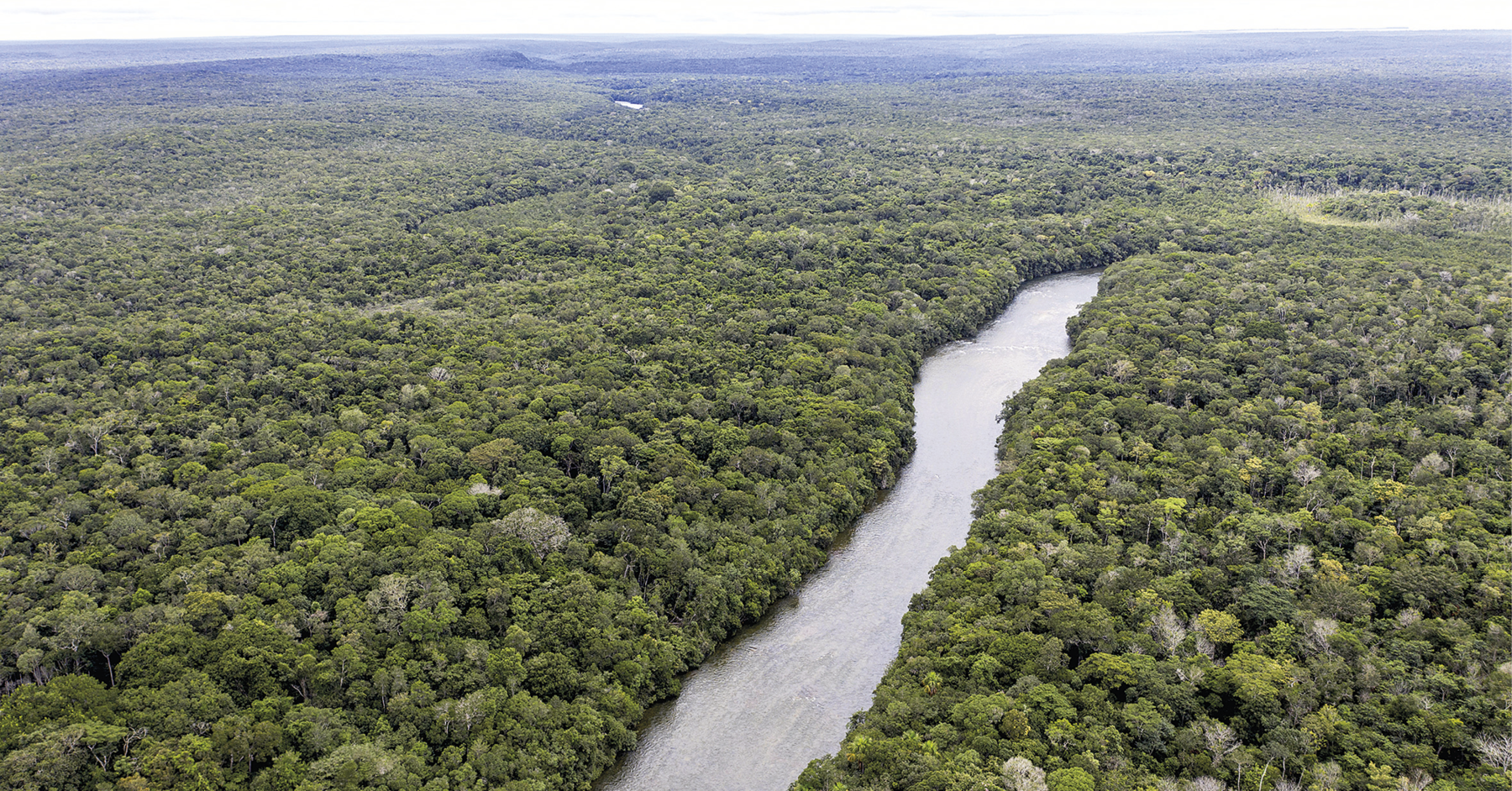 Fotografia. Vista aérea de uma ampla área plana coberta por floresta com árvores de grande estatura e copas cheias de folhas verdes. Na porção central, um rio corta a floresta.