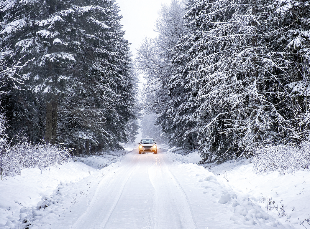 Fotografia. Uma estrada de mão simples e reta, coberta de neve. Ao fundo, um automóvel com os faróis acesos. Nas margens da estrada , diversas árvores do tipo pinheiro de porte elevado, com folhas e troncos cobertos de neve.