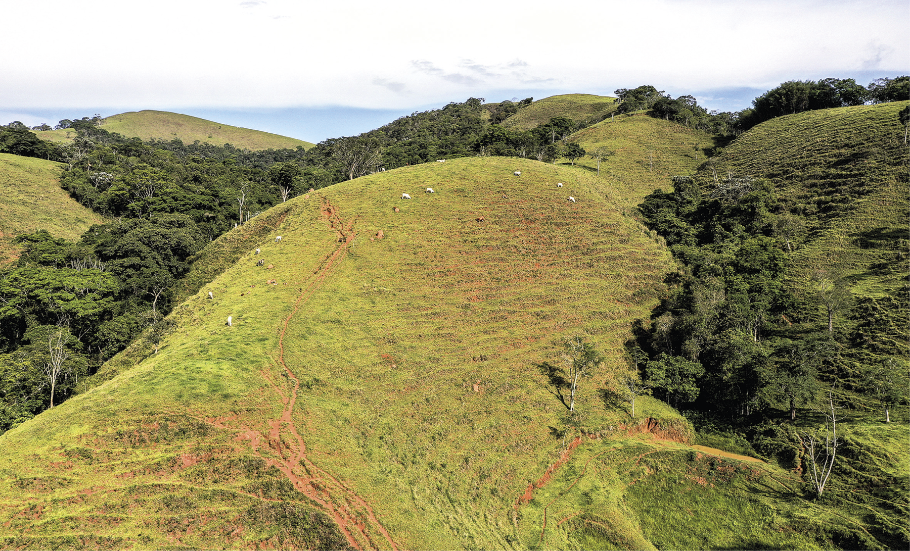 Fotografia. Vista aérea para um conjunto de morros com algumas vertentes cobertas por fragmentos florestais e outras desmatadas, apenas com a vegetação rasteira. No centro da imagem, uma grande vertente coberta por vegetação rasteira e com a presença de sulcos, ravinas e alguns bois e vacas. Acima, céu com nuvens.