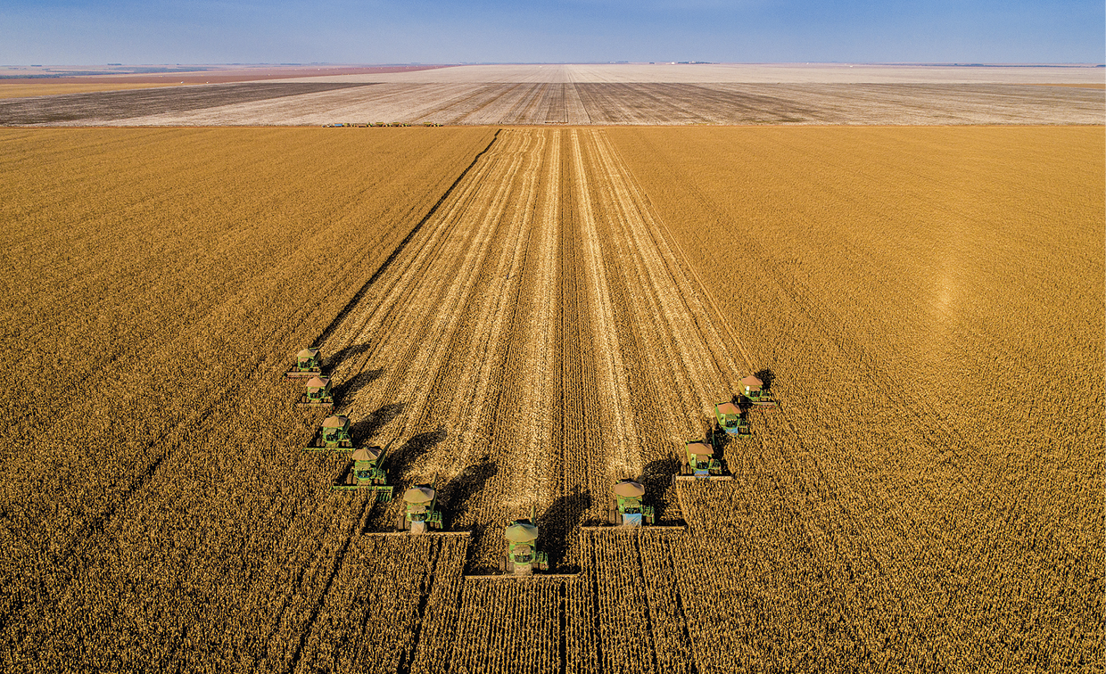 Fotografia. Vista aérea para uma vasta superfície plana coberta de plantação de milho, com de máquinas colheitadeiras paralelas e dispostas em V. Ao fundo, terreno com plantação já foi colhida. Acima, céu azul.