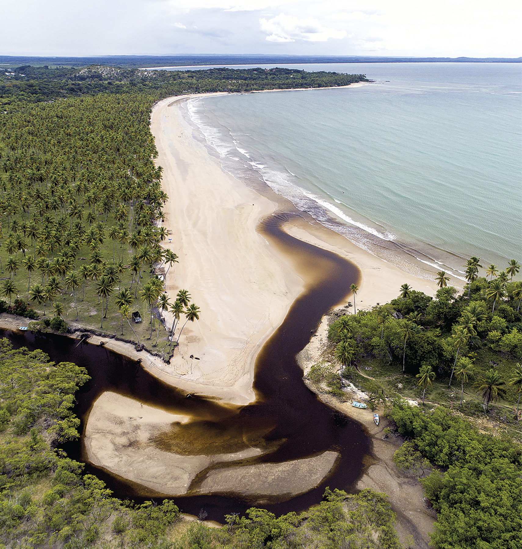 Fotografia. Na parte inferior, vista para um rio margeado por areia e com águas escuras desembocando no mar. À esquerda, vegetação com muitos coqueiros. Ao centro, extensa faixa de areia e, à direita, o mar em tons de verde claro.