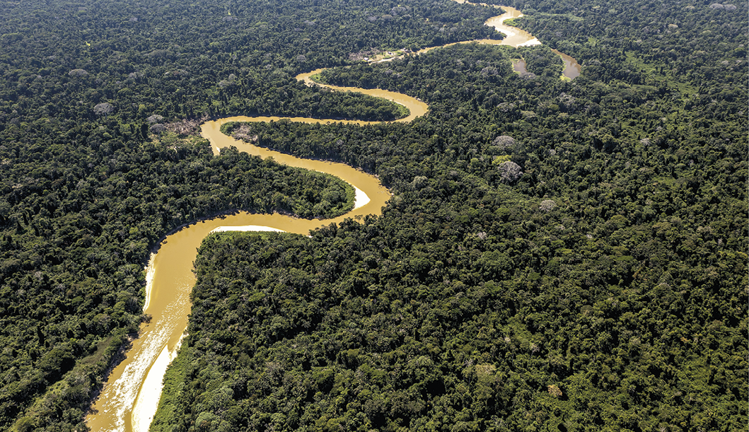 Fotografia. Vista aérea de um rio com curvas e de águas turvas cortando uma planície. A vegetação em volta é densa e verde.