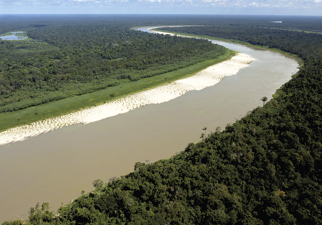 Fotografia. Vista de um extenso rio ao centro da imagem. À esquerda, vegetação baixa em tons de verde na margem do rio e, em seguida, vegetação densa formada por árvores. À direita, vegetação densa em tons de verde-escuro.