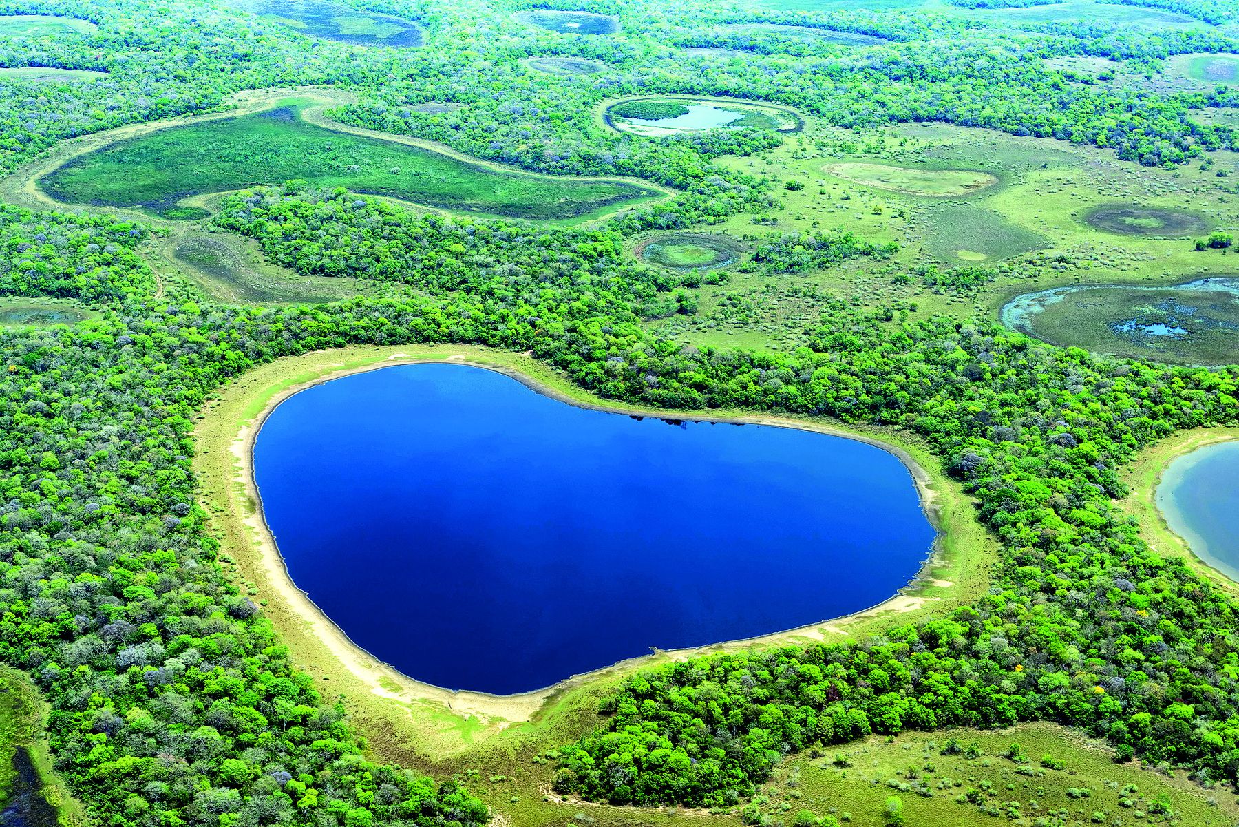 Fotografia. Vista aérea de uma área plana, com uma lagoa de águas escuras ao centro. Ao redor, vegetação verde, densa, e outros pontos alagados.