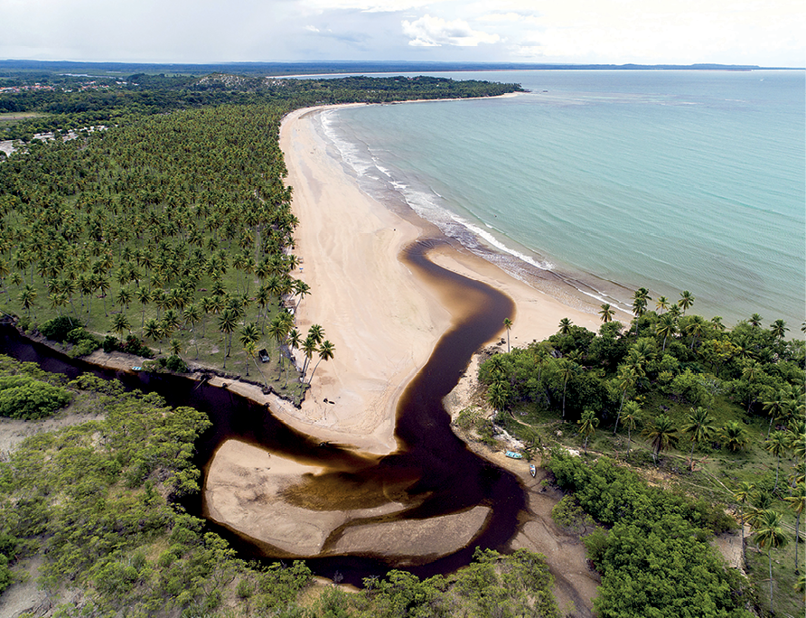 Fotografia. Na parte inferior, vista para um rio margeado por areia e com águas escuras desembocando no mar. À esquerda, vegetação com muitos coqueiros. Ao centro, extensa faixa de areia e, à direita, o mar em tons de verde claro.