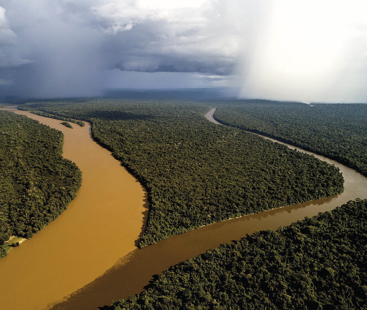 Fotografia. Vista do encontro de dois rios em uma planície coberta por vegetação densa e verde. A água do rio à esquerda é turva e marrom claro. Já o rio à direita é escuro. Ao fundo, grandes nuvens cinzas no céu e ocorrência de chuva em dois pontos.