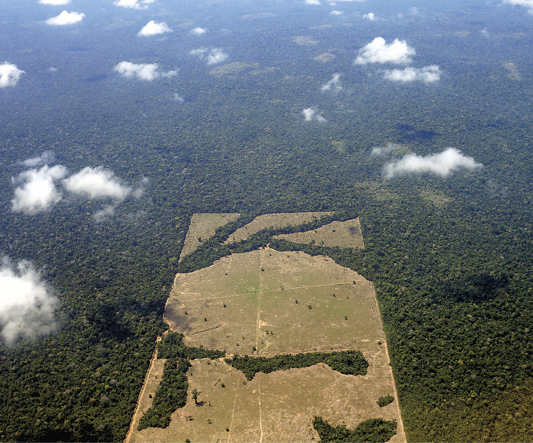 Fotografia. Vista aérea de uma área retangular e desmatada ao centro da paisagem. Em sua volta, extensa vegetação preservada, densa e verde.