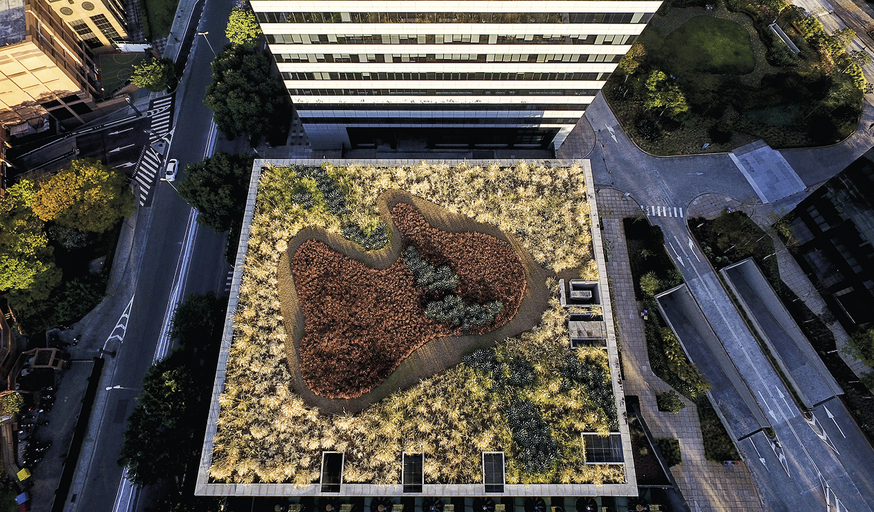 Fotografia. Imagem de um prédio visto de cima, onde o telhado é plano e contém vegetação em tons verdes, vermelho e marrom. Ao redor, vias com faixas de pedestre, além de árvores e outros prédios.