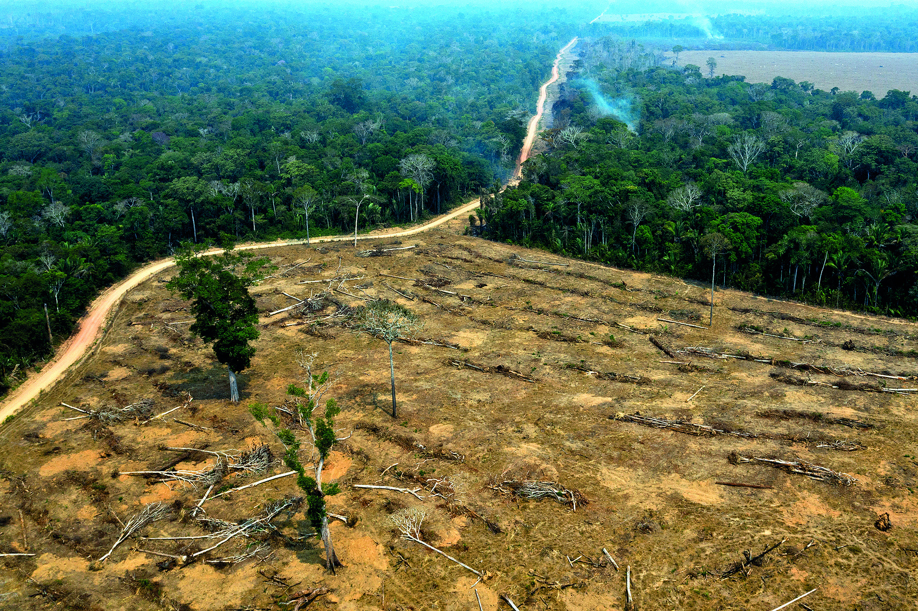 Fotografia. Vista aérea de uma vasta área de solo exposto, de tom amarronzado, com diversos troncos caídos e duas árvores restantes. Há uma estrada que faz margem à essa área à esquerda. No entorno e ao fundo, vasta vegetação verde e exuberante com focos de fumaça.