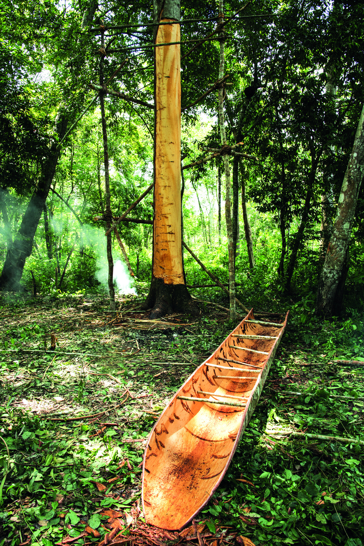 Fotografia. Em uma área no interior de uma floresta de copas altas, destaque para uma canoa de madeira feita com parte do tronco de uma árvore. Ao fundo, uma árvore com o tronco cortado no meio. Ao redor há vegetação rasteira e árvores altas.