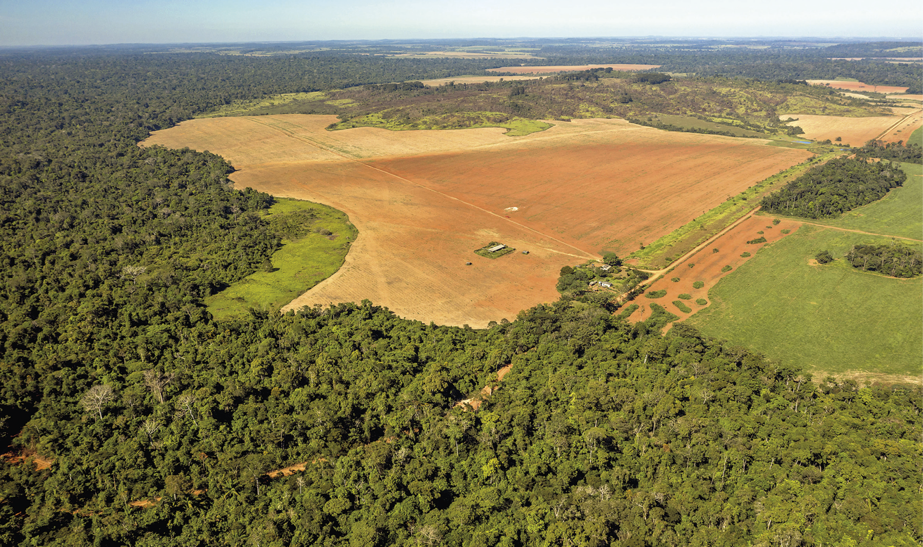 Fotografia. Vista de uma extensa área de floresta densa, plana e verde. No centro da foto, há uma grande área com solo exposto, na cor marrom clara. No lado direito, há uma área com grama.