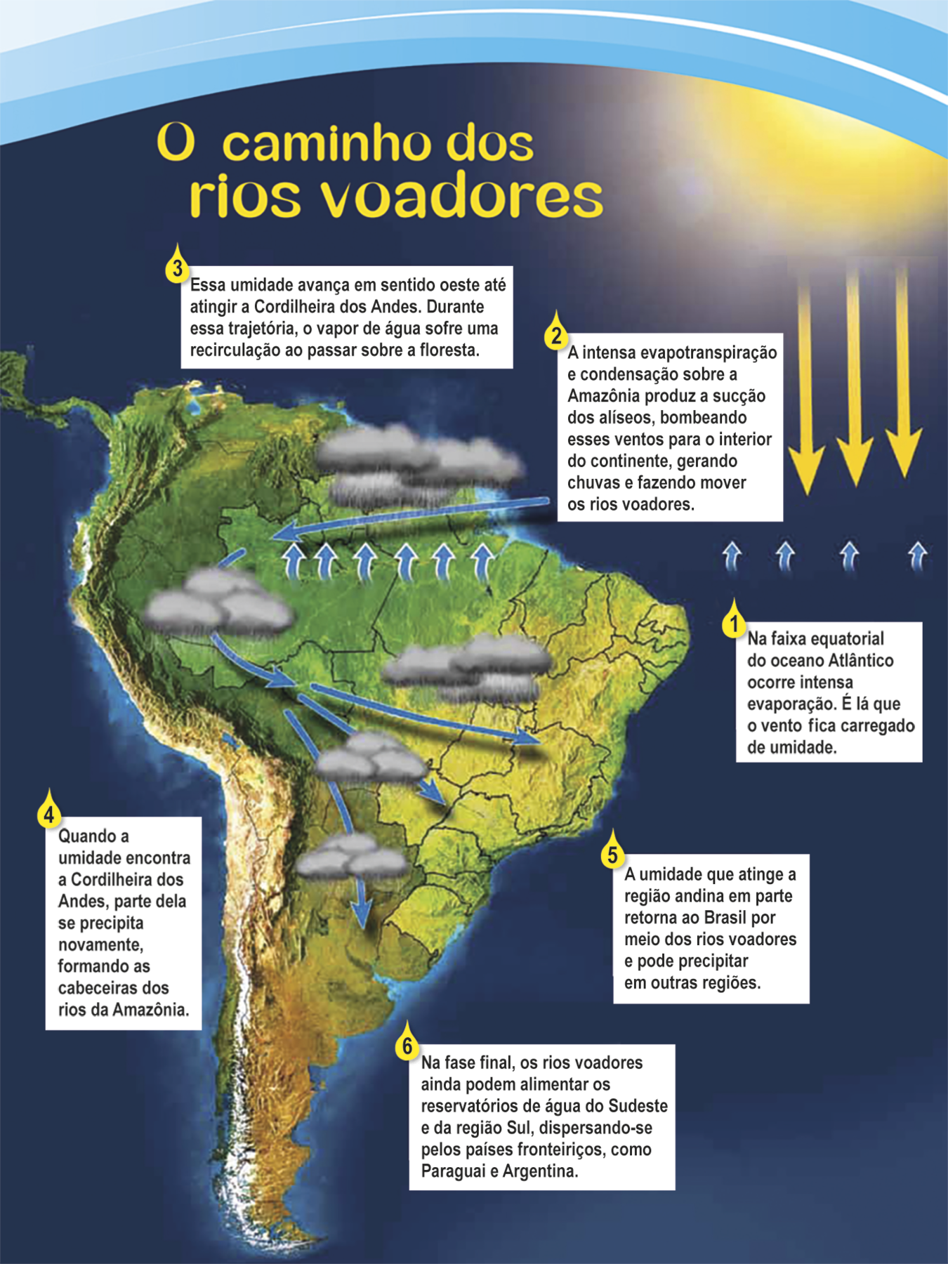 Infográfico. O caminho dos rios voadores. 
Infográfico mostrando imagem de satélite da América do Sul, com textos explicativos de 1 a 6, setas azuis, amarelas e desenhos de nuvens.
Do Oceano Atlântico, próximo à linha do Equador, saem setas azuis curtas que se encontram com setas amarelas, representando a evaporação. Texto explicativo 1: Na faixa equatorial do Oceano Atlântico ocorre intensa evaporação. É lá que o vento fica carregado de umidade. Fim do texto 1.
Sobre a imagem de satélite da América do Sul há setas azuis curtas na região da Amazônia  e uma seta azul longa e fina apontada para a parte oeste da América do Sul e, sobre a qual estão nuvens cinzas carregadas de umidade, chuva, 
representando a evapotranspiração e os transporte das nuvens carregadas (rios voadores) para o interior do continente. Texto explicativo 2: A intensa evapotranspiração e condensação sobre a  Amazônia produz sucção dos alíseos, bombeando esses ventos para o interior do continente, gerando chuvas e fazendo mover os rios voadores. 
Texto explicativo 3: Essa umidade avança em sentido oeste até atingir a Cordilheira dos Andes. Durante essa trajetória, o vapor de água sofre uma recirculação ao passar sobre a floresta. Fim do texto 3. 
No extremo oeste da América do Sul, região  montanhosa dos Andes, há uma seta azul curva e fina proveniente da  Amazônia e no meio dela há nuvens carregadas. Texto explicativo 4: Quando a umidade encontra a Cordilheira dos Andes, parte dela se precipita novamente, formando as cabeceiras dos rios da Amazônia. Fim do texto 4. 
Sobre a imagem da América do Sul, a seta azul curva toma a direção leste, voltando-se para o interior do continente e se divide em três outras setas azuis  com nuvens carregadas de umidade: uma seta em direção ao sudeste do Brasil, outra em direção ao sul do Brasil e outra em direção à Argentina e ao Paraguai. Sobre essas três regiões há presença de chuva. Texto explicativo 5:  
A umidade que  atinge a região andina em parte retorna ao Brasil por meio dos rios voadores e pode precipitar em outras regiões. Texto explicativo 6: Na fase final, os rios voadores ainda podem alimentar os reservatórios de água do Sudeste e da Região Sul, dispersando-se pelos países fronteiriços, como Paraguai e Argentina.