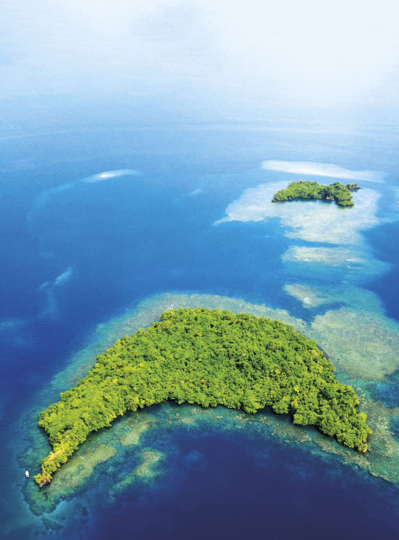 Fotografia. Vista aérea de uma ilha em formato de meia lua coberta por com vegetação densa e verde. Ao redor da ilha, presença de recife de coral e mar azul. Ao fundo, uma ilha menor também coberta de vegetação densa e verde, recife de coral e mar azul.