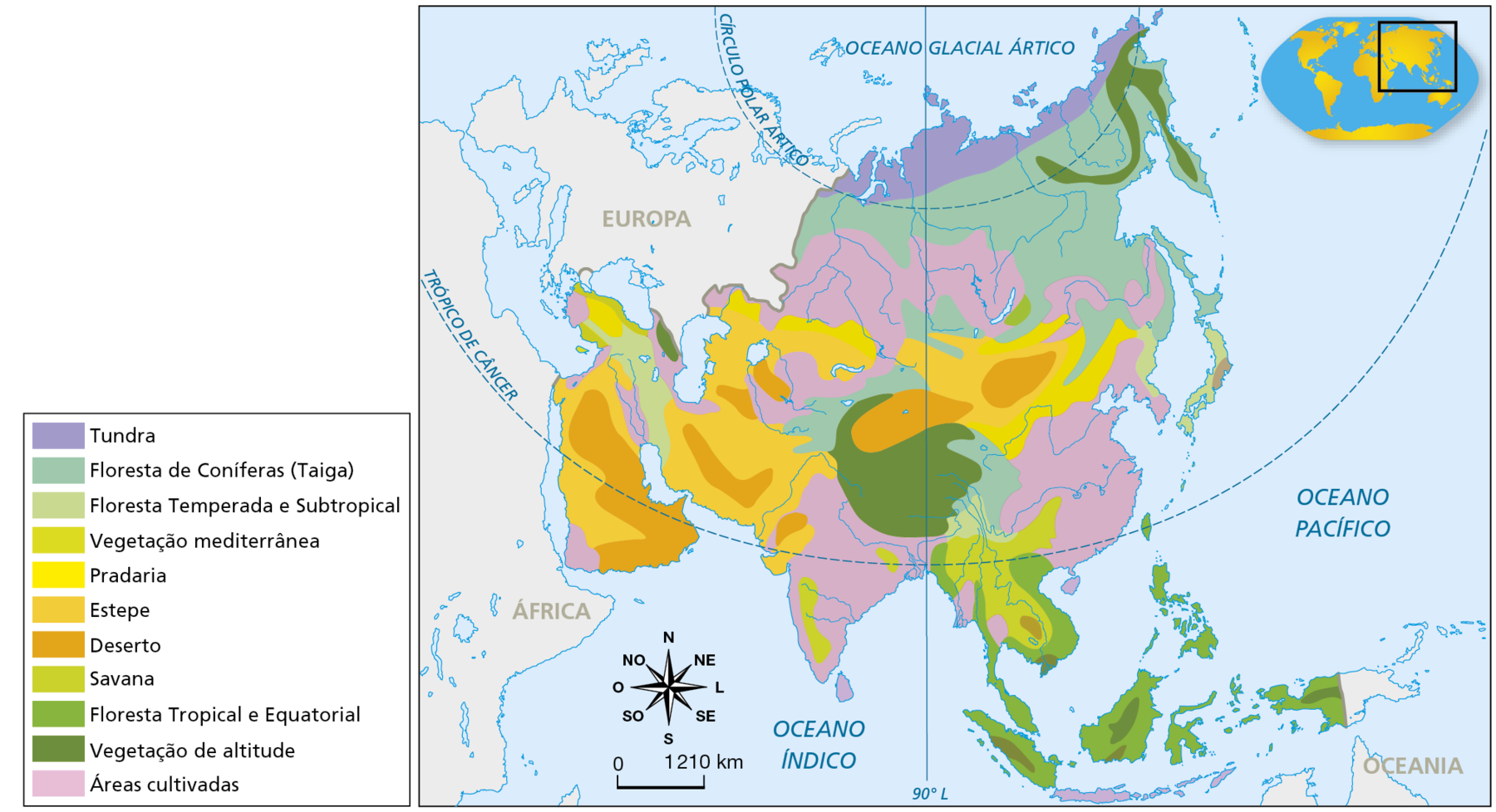 Mapa. Ásia: vegetação. Mapa representando a distribuição dos principais tipos de vegetação no continente asiático. Tundra: predominante no extremo norte do continente. Floresta de Coníferas (Taiga): predominante nas porções norte e central do continente. Floresta Temperada e Subtropical: na porção oeste, próximo ao mar Cáspio, extremo leste da Rússia e Japão. Vegetação mediterrânea: na porção oeste, próximo ao mar Mediterrâneo. Pradaria: pequenos fragmentos na porção central e oeste do continente. Estepe: porções central e oeste do continente. Savana: no Sudeste Asiático e porção oeste da Índia. Deserto: fragmentos na porção central e oeste do continente. Floresta Tropical e Equatorial: no extremo sul do continente, abrangendo as ilhas do Sudeste Asiático e o litoral na Península da Indochina. Vegetação de altitude: fragmentos no norte da Índia e nordeste da Rússia. Áreas cultivadas: predominante no centro norte do continente, Índia e leste da China. Na parte inferior esquerda, rosa dos ventos e escala de 0 a 1.210 quilômetros.