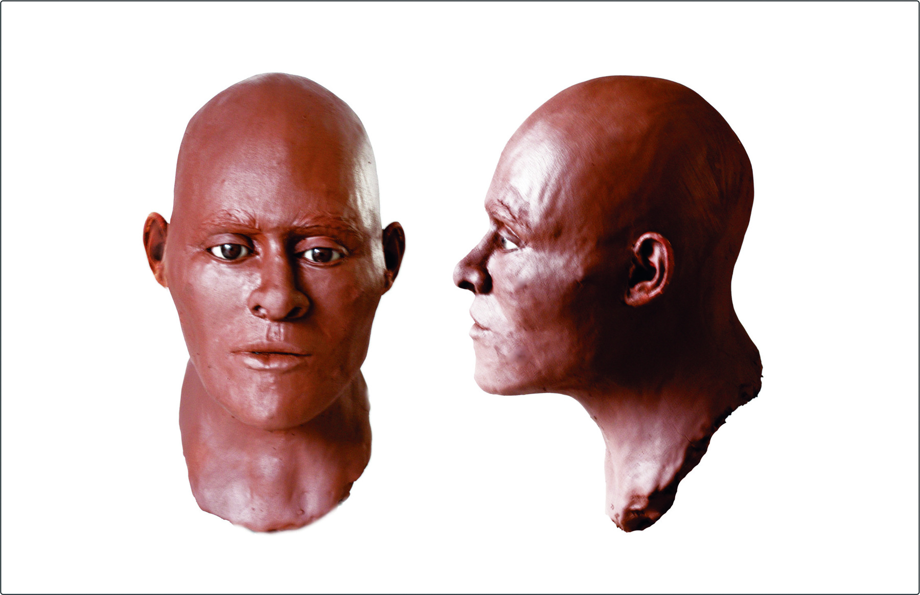 Fotografia. Duas imagens de um molde de cabeça humana. em cor de argila. A primeira imagem, à esquerda, mostra o seu rosto de frente e, a segunda, à direita, mostra o rosto de perfil, voltado para a esquerda. A figura, sem cabelos, tem o nariz comprido e os olhos pretos.