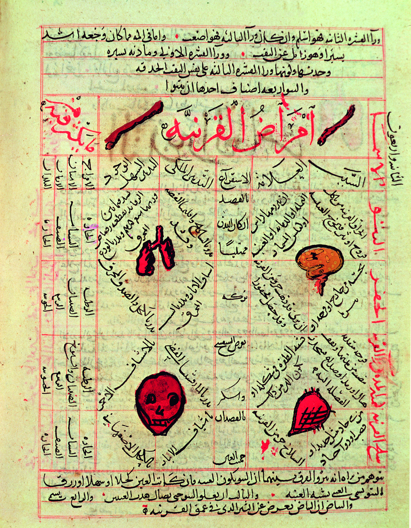 Página de livro. Página de  livro manuscrito de cor bege claro com ilustrações em tons de vermelho e laranja representando órgãos do corpo humano como ossos, pulmões, face e outros. Entre as ilustrações, linhas em vermelho, e inscrições com o alfabeto árabe, em vermelho e e preto.