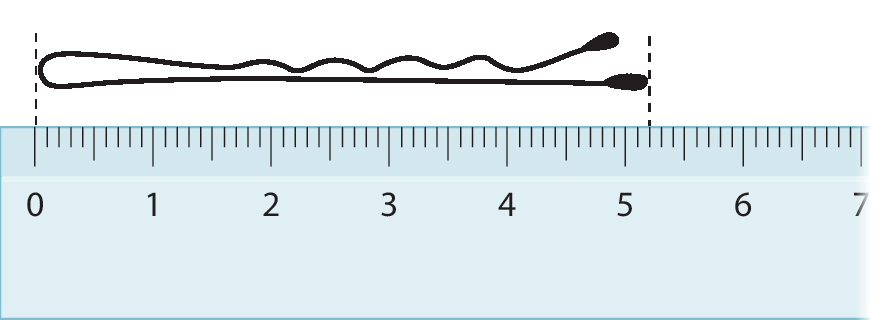 Esquema. Régua graduada, acima o desenho de um grampo de cabelo na horizontal, com linha tracejada nas extremidades do grampo e do 0 até o tracinho 52 da régua.