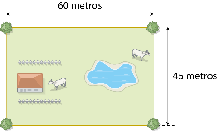 Ilustração. Terreno retangular de 60 metros por 45 metros, com uma árvore em cada ponta.