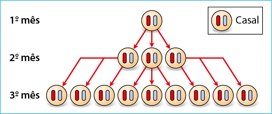 Ilustração. Quadro com diagrama do aumento populacional de uma espécie animal. Legenda no canto superior direito círculo com um traço vertical vermelho e um traço vertical azul indicando casal. Primeiro mês: 1 casal. Segundo mês: 3 casais. Para cada casal aponta uma seta vermelha do casal do mês anterior. Terceiro mês: 9 casais. Para cada casal aponta uma seta vermelha de cada casal do segundo mês.