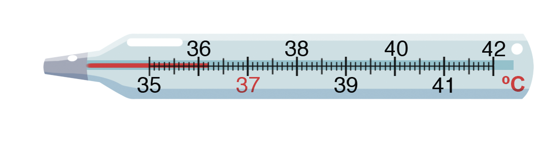 Ilustração. Termômetro não digital, com marcações que se parecem com uma reta numérica com os números 35, 36, 37, 38, 39, 40, 41 e 42. A reta possui traços alinhados com os números que foram indicados. O número 37 é vermelho e os demais são pretos. A direita da reta numérica está o símbolo de graus Celsius em vermelho. em cada trecho da reta, entre os números indicados, há 9 tracinhos indicando que este trecho ficou divido em 10 partes iguais. Uma barra vermelha vai da ponta esquerda do termômetro até o segundo tracinho após a marcação de 36 graus Celsius.