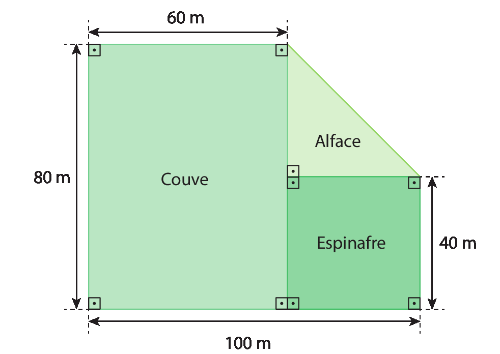 Figura geométrica. Figura formada por um retângulo, um quadrado e um triângulo retângulo. Retângulo à esquerda com os 4 ângulos retos indicados. No interior, escrito couve. Cota na vertical, indicando o comprimento do retângulo, 80 metros. Cota na horizontal, indicando a largura, 60 metros. À direita, adjacente ao retângulo e na parte inferior, um quadrado com os 4 ângulos retos indicados. No interior, escrito espinafre. Cota na vertical, indicando o comprimento do lado, 40 metros. Cota na horizontal, indicando o comprimento do quadrado e do retângulo juntos, 100 metros. Acima, adjacente ao quadrado e ao retângulo e na parte superior, um triângulo retângulo com o ângulo reto indicado. No interior, escrito alface.