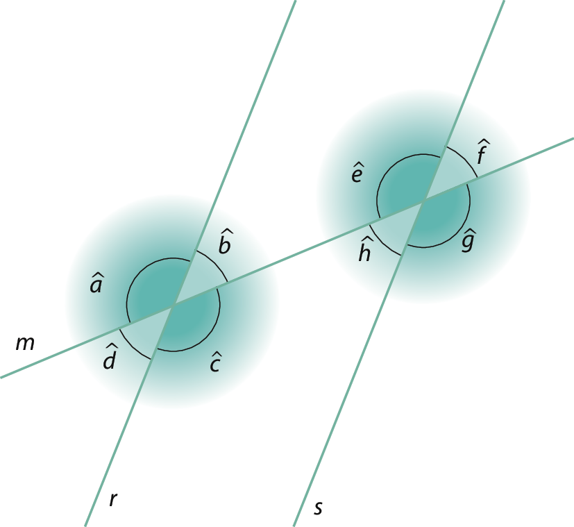Figura geométrica. Representação em cor verde de duas retas paralelas r e s cortadas por uma transversal m. São destacados os pares de ângulos opostos pelo vértice em cada cruzamento. No cruzamento de r com m, os ângulos obtusos são a e c, e os ângulos agudos são b e d. No cruzamento de s com m, os ângulos obtusos são e e g, e os ângulos agudos são h e f.
