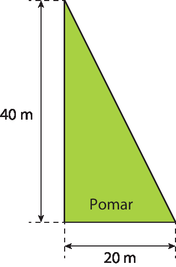 Figura geométrica: triângulo retângulo verde, com a indicação dentro Pomar. Há uma seta horizontal com a indicação vinte metros. Há uma seta vertical com a indicação quarenta metros.