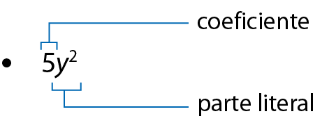 Esquema. Expressão algébrica. 5 y elevado ao quadrado. Fio azul saindo acima do número 5 em direção à direita indicando coeficiente. Fio azul saindo abaixo de y ao quadrado em direção à direita indicando parte literal.