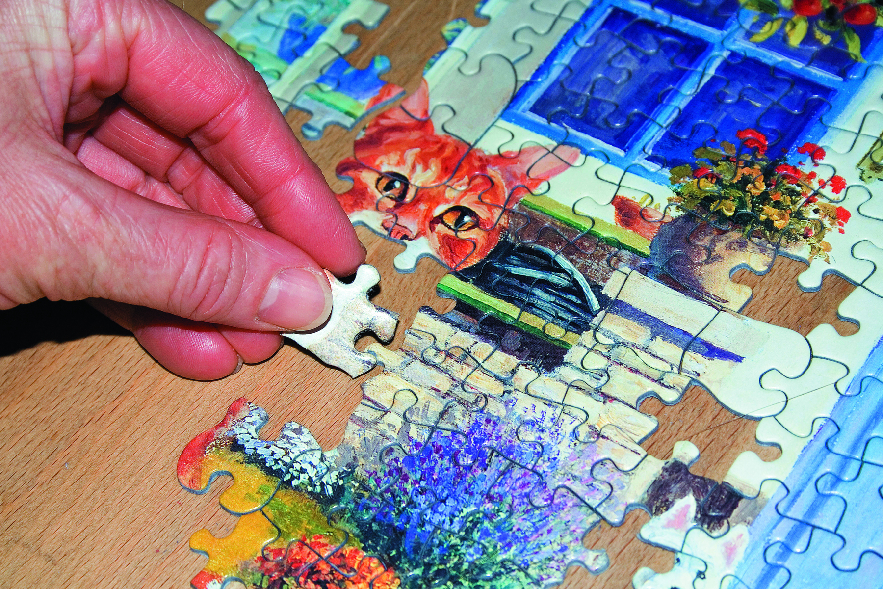 Fotografia. Em cima de mesa de madeira, quebra-cabeça incompleto, formando o desenho de um gato alaranjado com fundo de uma fachada de casa azul. 
Do lado esquerdo, mão branca, segurando uma peça que está sendo encaixada em outra.