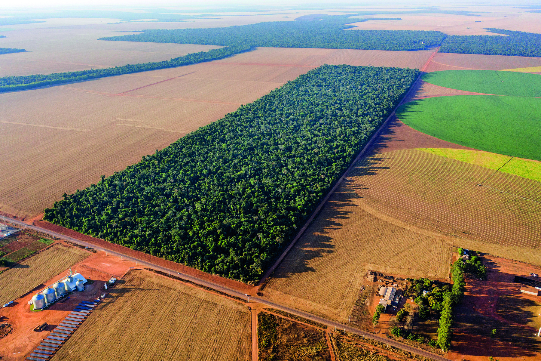 Fotografia. Fazenda com área de terra na cor marrom. No centro, retângulo com árvores. Ao fundo, outras áreas com vegetação.