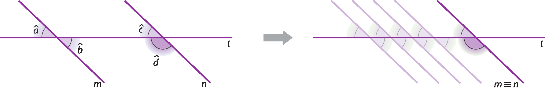 Esquema. Três retas roxas nomeadas m, n e t. As retas m e n são paralelas, a reta t é uma transversal e horizontal e tem um ponto em comum com cada uma das retas m e n. No ponto em comum entre as retas m e t, estão indicados dois ângulos nomeados a e b. O ângulo a está à esquerda da reta m e acima da reta t. O ângulo b está a direita da reta m e abaixo da reta t.  No ponto em comum entre as retas n e t estão indicados 2 ângulos nomeados c e d. O ângulo c está a esquerda da reta n e acima da reta t. O ângulo d está a esquerda da reta n e abaixo da reta t.  Seta para a direita, indicando a mesma figura anterior só que agora com várias retas paralelas a reta m com transparência, indicando que a reta m deslizou para a direita até coincidir com a reta n.