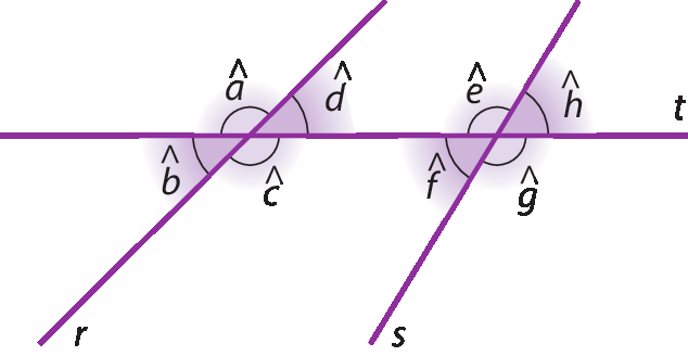 Figura geométrica. Três retas roxas nomeadas r, s e t. As retas r e s não são paralelas. A reta t está na horizontal e corta as outras duas, tem um ponto em comum com a reta r e outro ponto em comum com a reta s.  No ponto em comum entre as retas r e t, são formados 4 ângulos, nomeados a, b, c e d. O ângulo a está à esquerda da reta r e acima da reta t. O ângulo b está à esquerda da reta r e abaixo da reta t. O ângulo c está à direita da reta r e abaixo da reta t. O ângulo d está à direita da reta r e acima da reta t.  No ponto em comum entre as retas s e t, são formados 4 ângulos, nomeados e, f, g e h.  O ângulo e está à esquerda da reta s e acima da reta t. O ângulo f está à esquerda da reta s e abaixo da reta t. O ângulo g está à direita da reta s e abaixo da reta t. O ângulo h está à direita da reta s e acima da reta t.