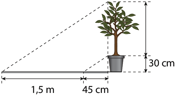 Esquema. Ilustração de uma árvore plantada no vaso. Linha tracejada do topo da árvore até o chão formando um triângulo. Outra linha tracejada, paralela à anterior, agora do topo do vaso até o chão. Cota com destaque para as medidas: altura do vaso: 30 centímetros; comprimento do vaso até a ponta da linha tracejada no chão: 45 centímetros; comprimento entre as pontas das linhas tracejadas no chão: 1 vírgula 5 metros.