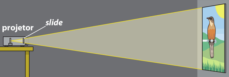 Ilustração. Parede cinza e mesa  amarela. Em cima da mesa, projetor cinza formando uma imagem retangular de uma pássaro marrom e cinza, com fundo de vegetação e céu, no canto direito da parede. A luz sai do projetor formando um triângulo com as bordas da imagem.