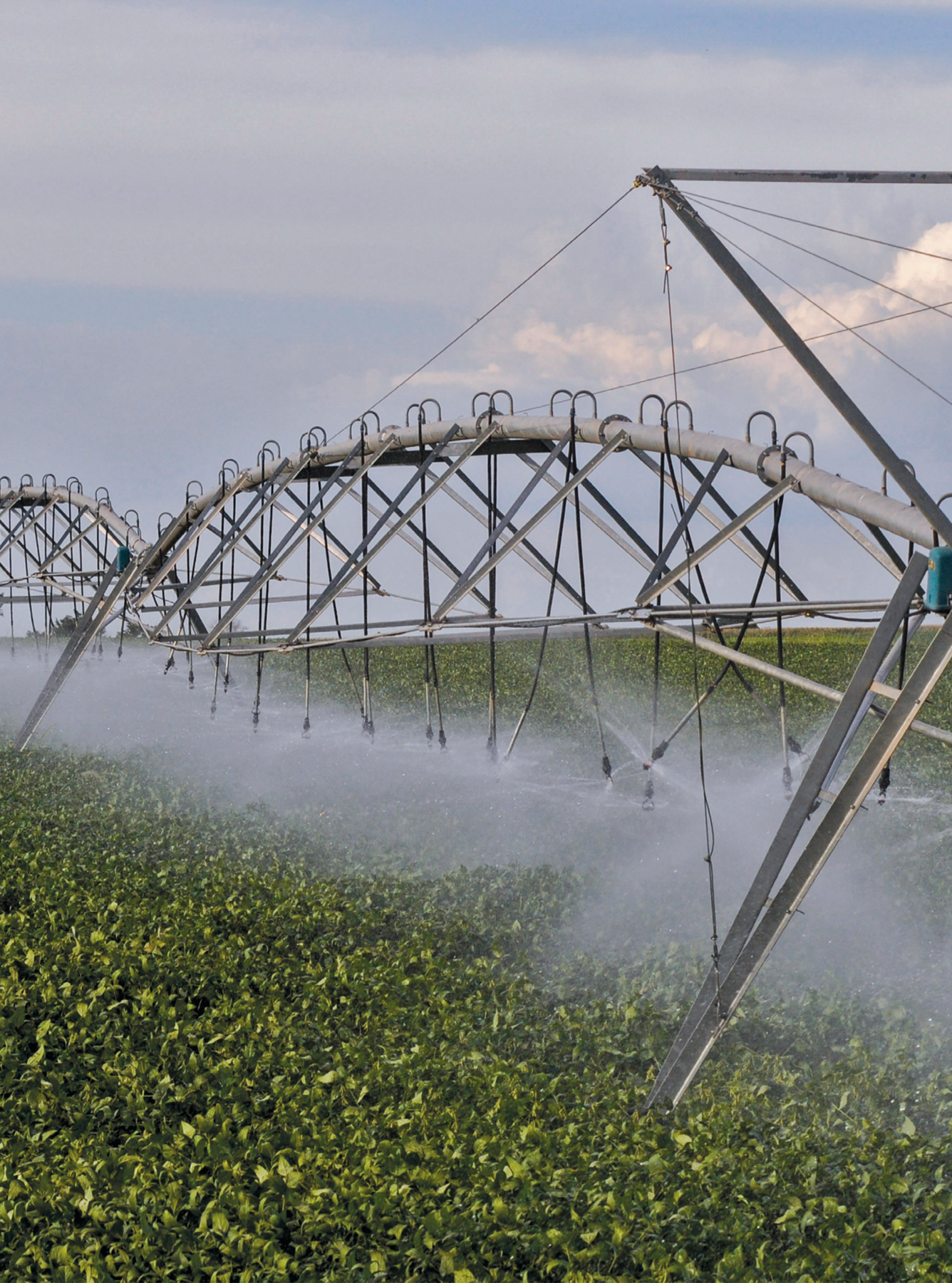 Fotografia. Na parte inferior, plantação verde de soja. Ao centro, sistema de irrigação formado por uma armação metálica com hastes e bocais pendurados, irrigando a plantação.  Ao fundo, na parte superior, um céu azul com nuvens.