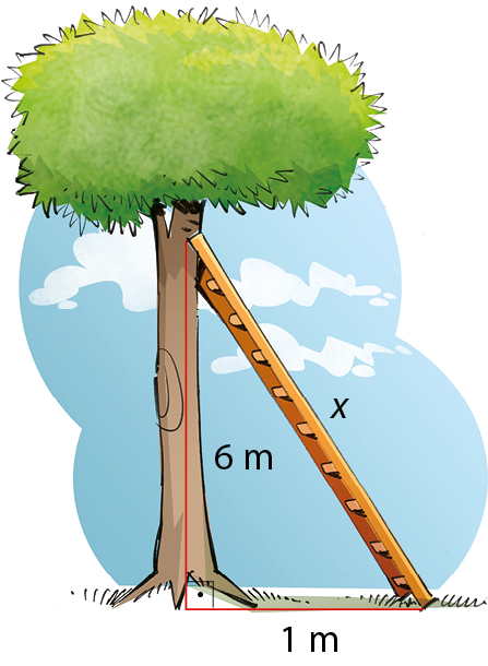 Ilustração. Com fundo de céu azul, uma árvore com uma escada apoiada em seu tronco. A escada forma um triângulo retângulo com o chão e o tronco. A escada tem medida x, do topo da escada ao pé da árvore tem 6 metros de comprimento e do pé da árvore ao pé da escada tem 1 metro de comprimento. Entre a árvore e o chão, forma um ângulo reto.