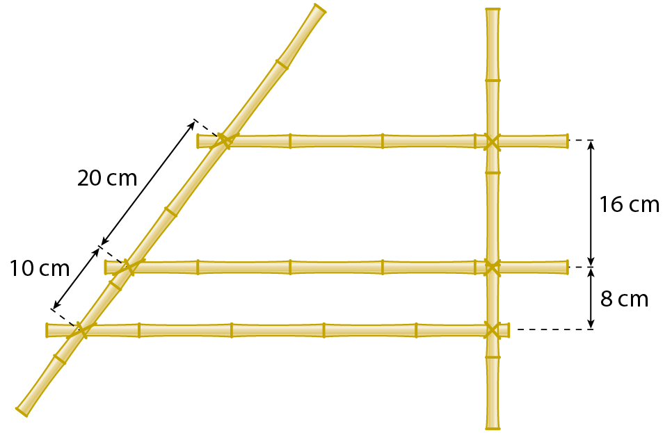 Ilustração. 5 pedaços de bambu retos organizados com 3 bambus na horizontal e paralelos, um na vertical, mais a direita e outro na transversal mais a esquerda determinando 6 pontos de encontro entre os bambus. No bambu da direita, na vertical, os três na horizontal determinam duas partes, a de cima de 16 centímetros e a de baixo de 8 centímetros. No bambu da esquerda, na transversal, os três na horizontal determinam duas partes, a de cima de 20 centímetros e a de baixo de 10 centímetros.