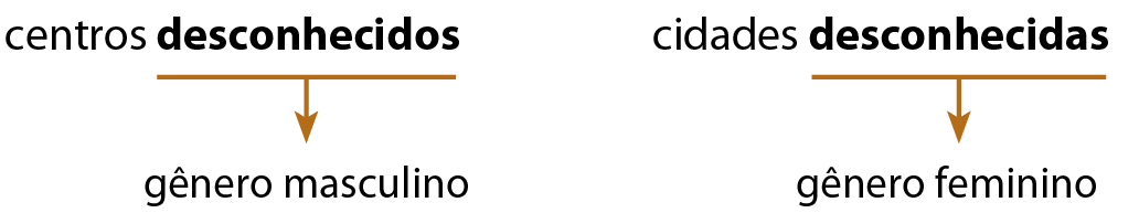 Esquema. Em destaque as palavras: CENTROS DESCONHECIDOS. Da palavra DESCONHECIDOS sai uma seta para o texto: gênero masculino. Ao lado, em destaque as palavras: CIDADES DESCONHECIDAS. Da palavra DESCONHECIDAS sai uma seta para o texto: gênero feminino.