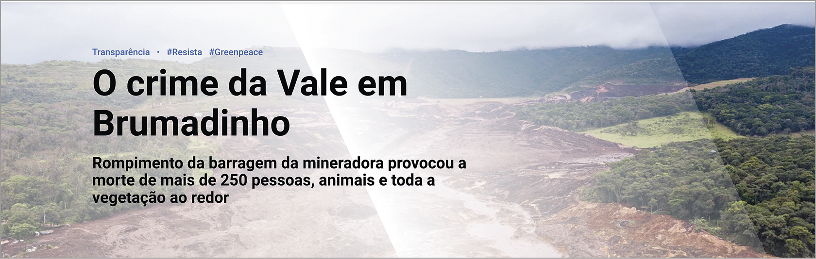 Reprodução de página web. Na parte superior, aba com o caminho até esta página: Transparência, #Resista e #Greenpeace. Abaixo, o título: O crime da Vale em Brumadinho  e o lide: Rompimento da barragem da mineradora provocou a morte de mais de 250 pessoas, animais e toda a vegetação ao redor. Ao fundo, fotografia aérea de terreno recoberto de vegetação atravessado na parte central por um rio de lama.