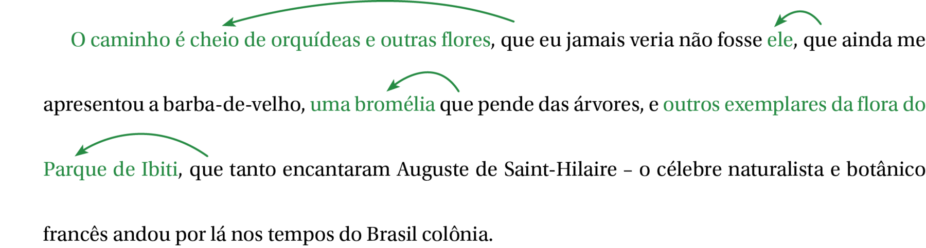 Esquema.
O caminho é cheio de orquídeas e outras flores, que eu jamais veria não fosse ele, que ainda me apresentou a barba-de-velho, uma bromélia que pende das árvores, e outros exemplares da flora do Parque de Ibiti, que tanto encantaram Auguste de Saint-Hilaire – o célebre naturalista e botânico francês andou por lá nos tempos do Brasil colônia.
Em: "O caminho é cheio de orquídeas e outras flores, que", há uma seta saindo da palavra "que" para a frase "O caminho é cheio de orquídeas e outras flores".
Em: "ele, que ainda me apresentou a barba-de-velho", há uma seta saindo da palavra "que" para a palavra "ele".
Em: "uma bromélia que pende das árvores", há uma seta saindo da palavra "que" para as palavras "uma bromélia".
Em: "outros exemplares da flora do
Parque de Ibiti, que tanto encantaram Auguste de Saint-Hilaire", há uma seta saindo da palavra "que" para a frase "outros exemplares da flora do
Parque de Ibiti".