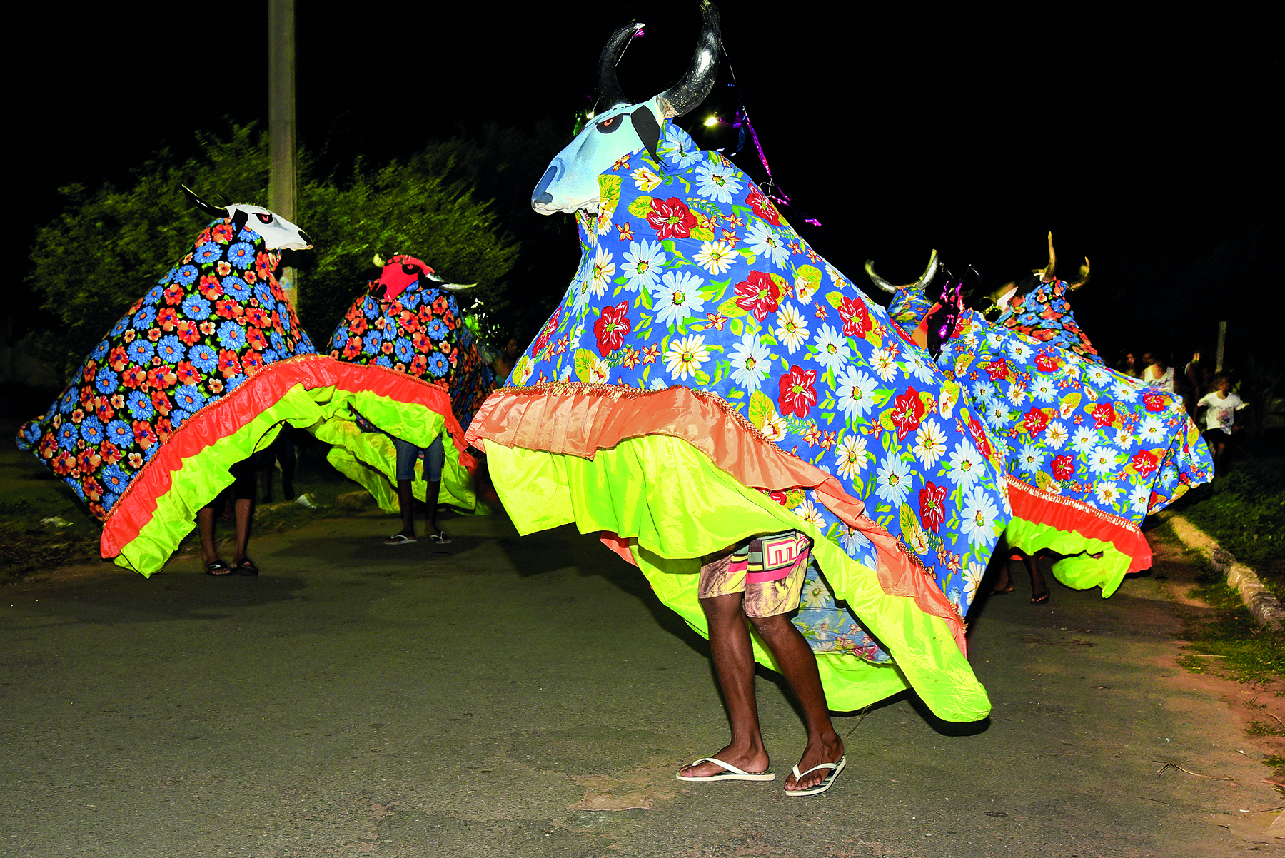 Fotografia. Um grupo de pessoas desfila na rua usando alegorias de boi feitas com tecidos coloridos e floridos e uma máscara de boi.
