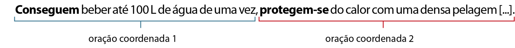 Esquema.
Conseguem beber até 100 litros de água de uma vez, protegem-se do calor com uma densa pelagem [...].
Conseguem beber até 100 litros de água de uma vez,: oração coordenada 1
protegem-se do calor com uma densa pelagem [...]: oração coordenada 2