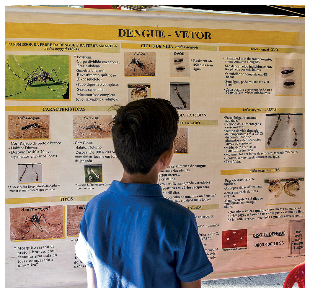 Fotografia. Um adolescente de cabelos pretos, vestindo camisa azul de mangas curtas, está de costas diante de um mural com informações sobre a dengue, composto de inúmeras imagens e texto.